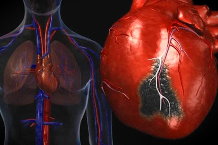 Bharat Vikas Parishad Hospital and Reserch Center