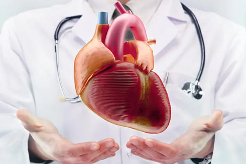 Bharat Vikas Parishad Hospital and Reserch Center