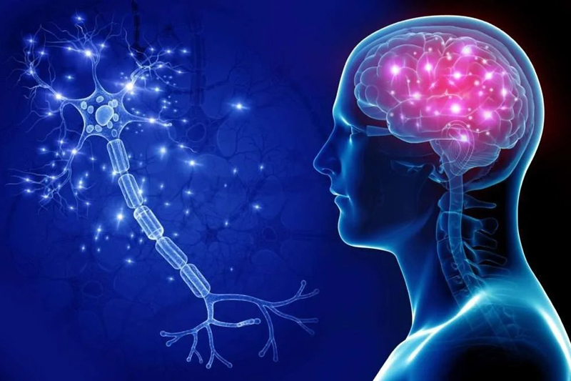 Bharat Vikas Parishad Hospital and Reserch Center