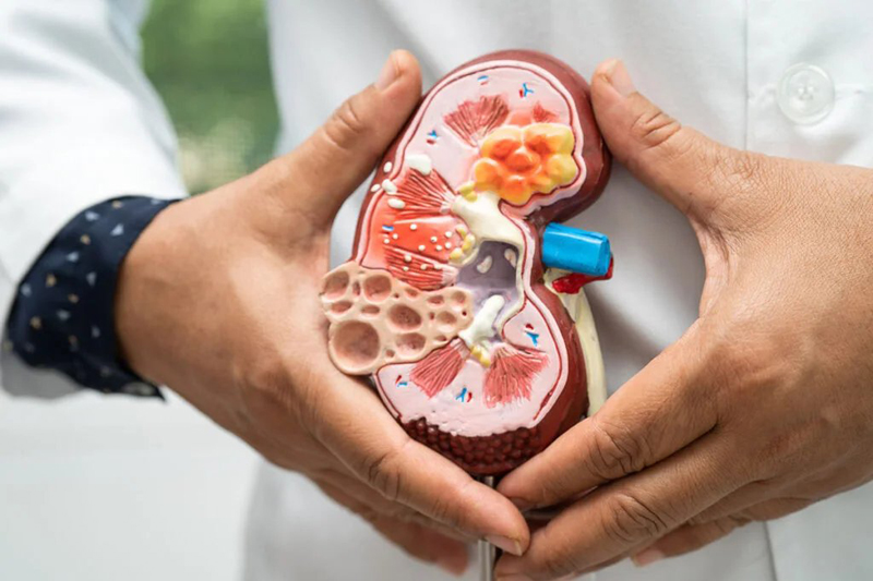 Bharat Vikas Parishad Hospital and Reserch Center